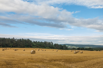 Landschaft im Sp&auml;tsommer
