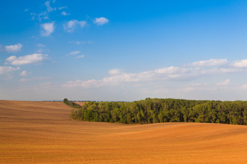 Autumn field after harvest at twillight