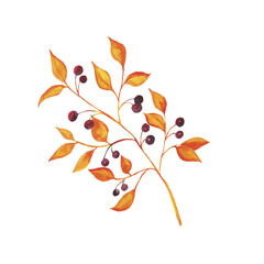 Abstract autumn branch isolated on white background. Hand drawn vector watercolor illustration.