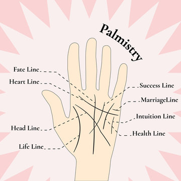 Palmistry. Guessing on the hand. The lines on the hand.