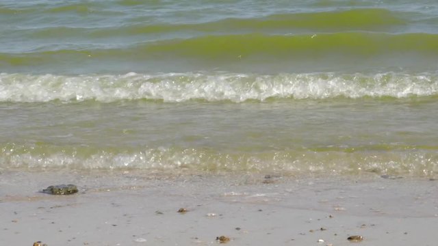 Прибрежные волны/ Прибрежные волны Азовского моря в жаркий летний день