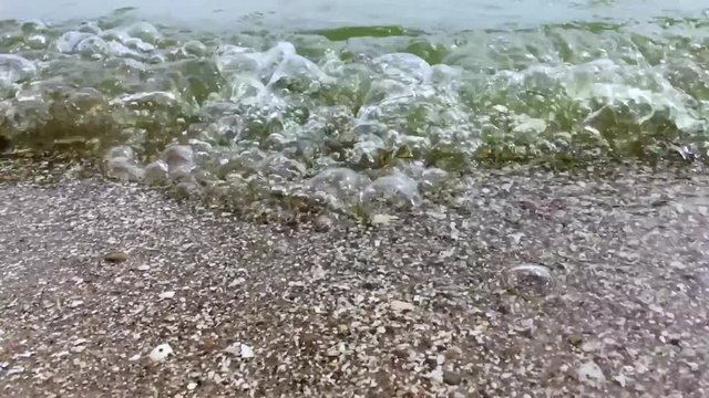 Прибрежные волны/ Прибрежные волны Азовского моря в жаркий летний день