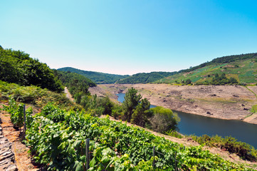 landscapes of  Ruins of the village of Chave (normally submerged), strains and terraces of vineyards in the Ribeira Sacra,  Galicia, Spain