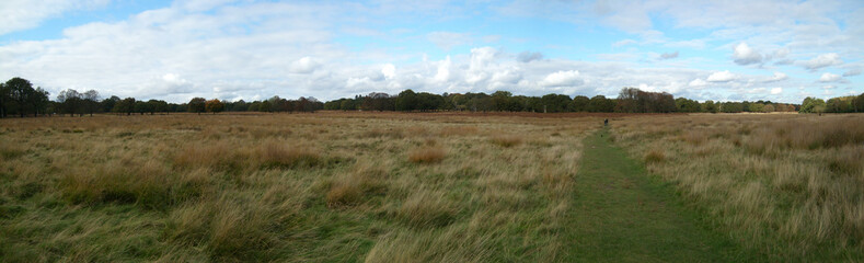 Open field in Royal Park, London.