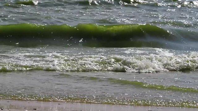Прибрежные волны/ Прибрежные волны Азовского моря в жаркий летний день