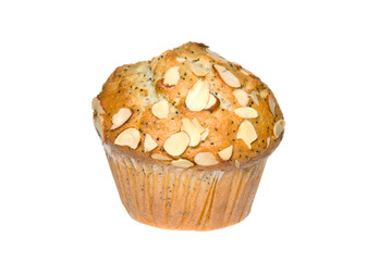 Poppy seed muffin