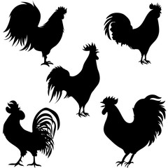 rooster silhouettes on the white background