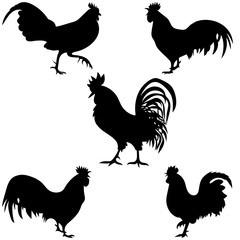 rooster silhouettes on the white background
