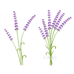 Fototapeta premium Fresh cut fragrant lavender plant flowers bunch and single 2 realistic icons set isolated vector illustration