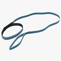 Blue nylon dog lead or leash isolated on white 3D Illustration