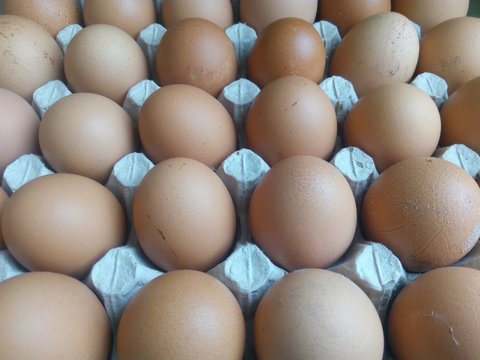 Beige eggs in a cardboard tray gray