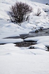 Fototapeta na wymiar creek in the middle of snow