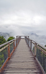 Wooden walkway bridge leading into low cloud above mountains in Dorrigo National Park, New South Wales, Australia