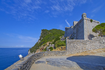 porto venere castello doria con gabbiano liguria italia
