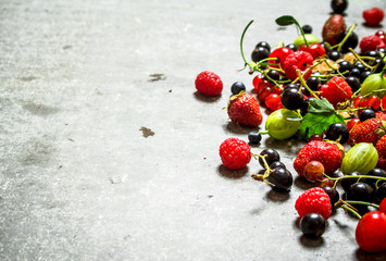 wild berries on the stone table.