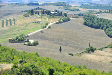 Naklejka premium Crete senesi, Assisi, Toscana, Asciano