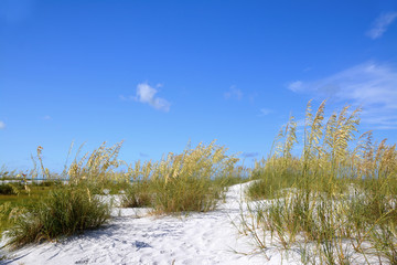 Anna Maria Island - Floride / Florida - USA