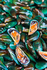 fresh mussels in the market