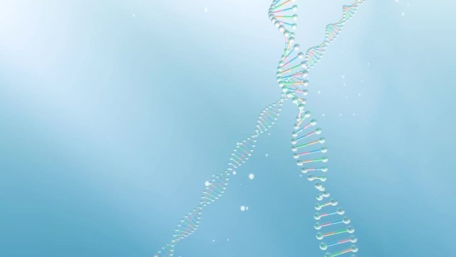 DNA Strand images.
