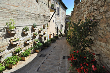Spello, Umbria, provincia di Perugia