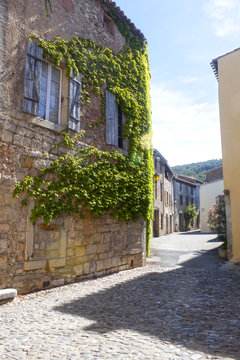 Street with houses with ivy in Lagrasse, France