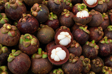 Fototapeta premium Mangosteen