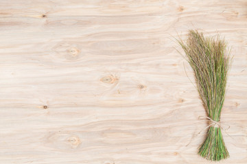 Minimal collage composition of the plants at wooden desk
