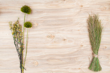 Dry plants collage compoition at wooden desk