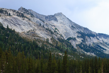 Panorama from Yosemite National Park