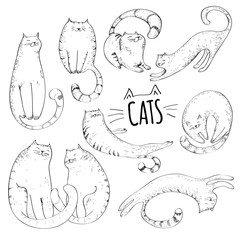 Cats collection