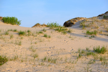 Big Sable Point Dunes