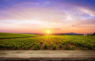 Foto op Plexiglas Wijngaard Rode wijn met vat op wijngaard in groen Toscane, Italië