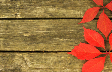  red leaves on a old wooden background, autumn