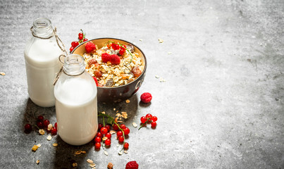 Fitness food. Muesli with berries and milk.