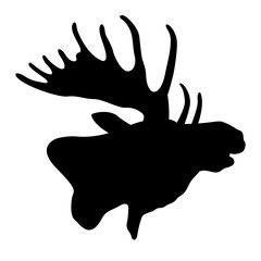 Moose head profile vector illustration black silhouette