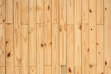 Fototapeta premium Wood Wall