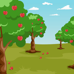 Trees with red apples in orchard