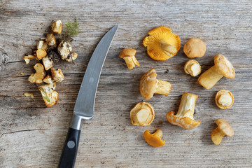 Cleanded group of chantarelles and knife