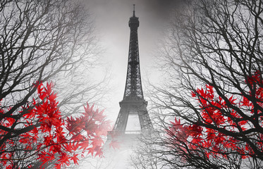 Fototapety  Wieża Eiffla w Paryżu - zdjęcie jesienne