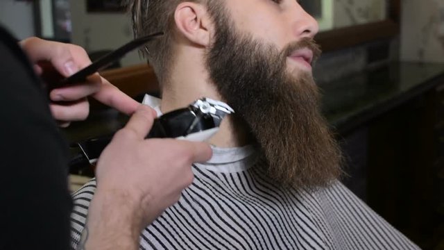 Beard trimming process from professional hairdresser