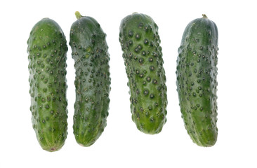 Cucumbers isolated on white background
