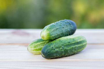 Fresh cucumbers on the wooden background
