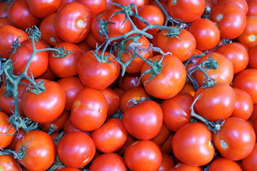 grappoli di pomodori rossi