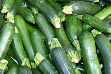 Zucchine 