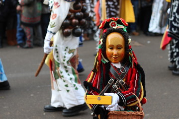 Rottweiler Fasnet Fransenkleid