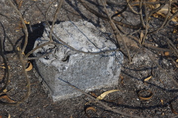 Verbrannte Autobatterie