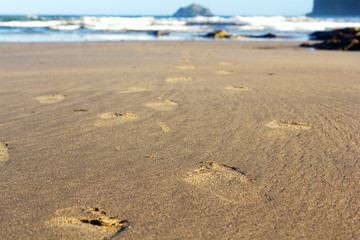 Footprints in the sand on Polzeath beach