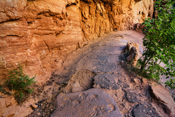 Mountain road along the sandstone cliffs in Zion National Park, Utah, USA