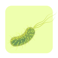 Bacteria and virus icon. Biology, science microbiology, microbe infection, vector flat illustration