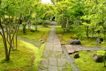 Fototapeta na wymiar 日本のお寺